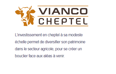 vianco-cheptel
