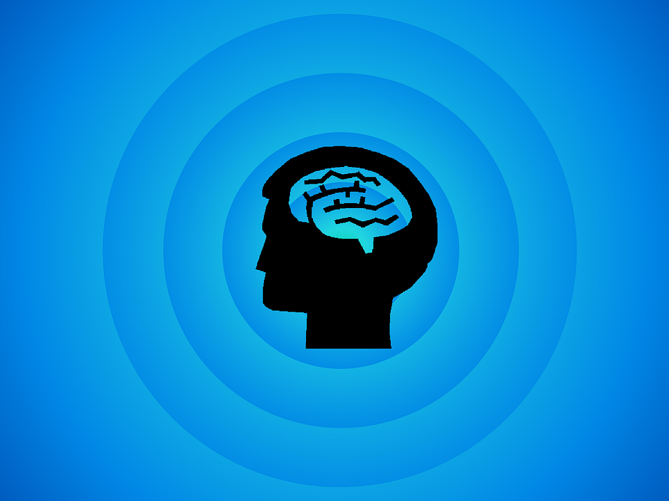 brain