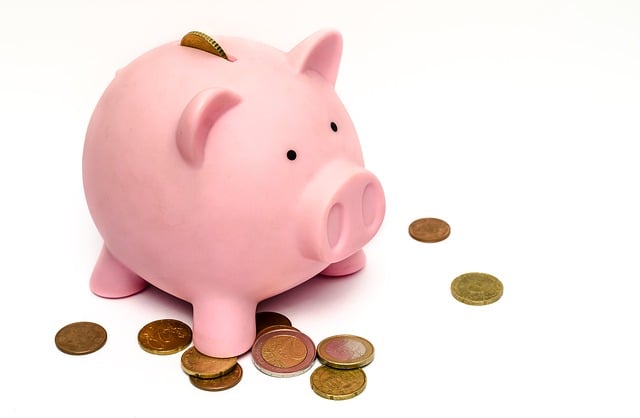 revenu minimal tirelire