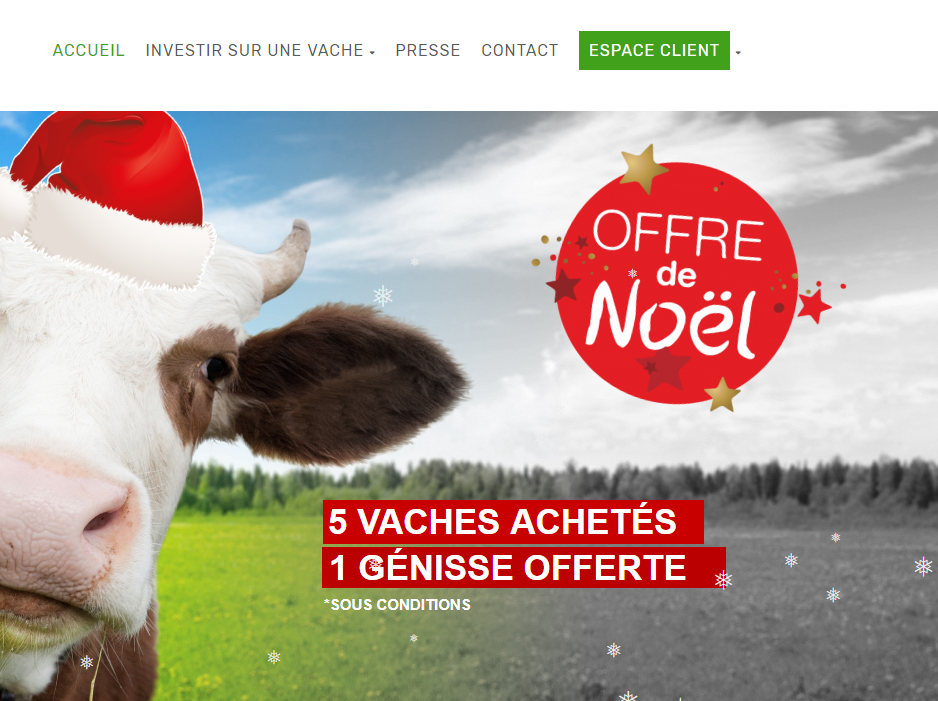 vache