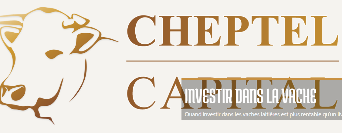 cheptel capital