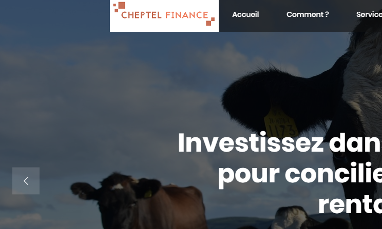 cheptel finance