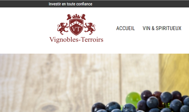 vignobles terroirs 1