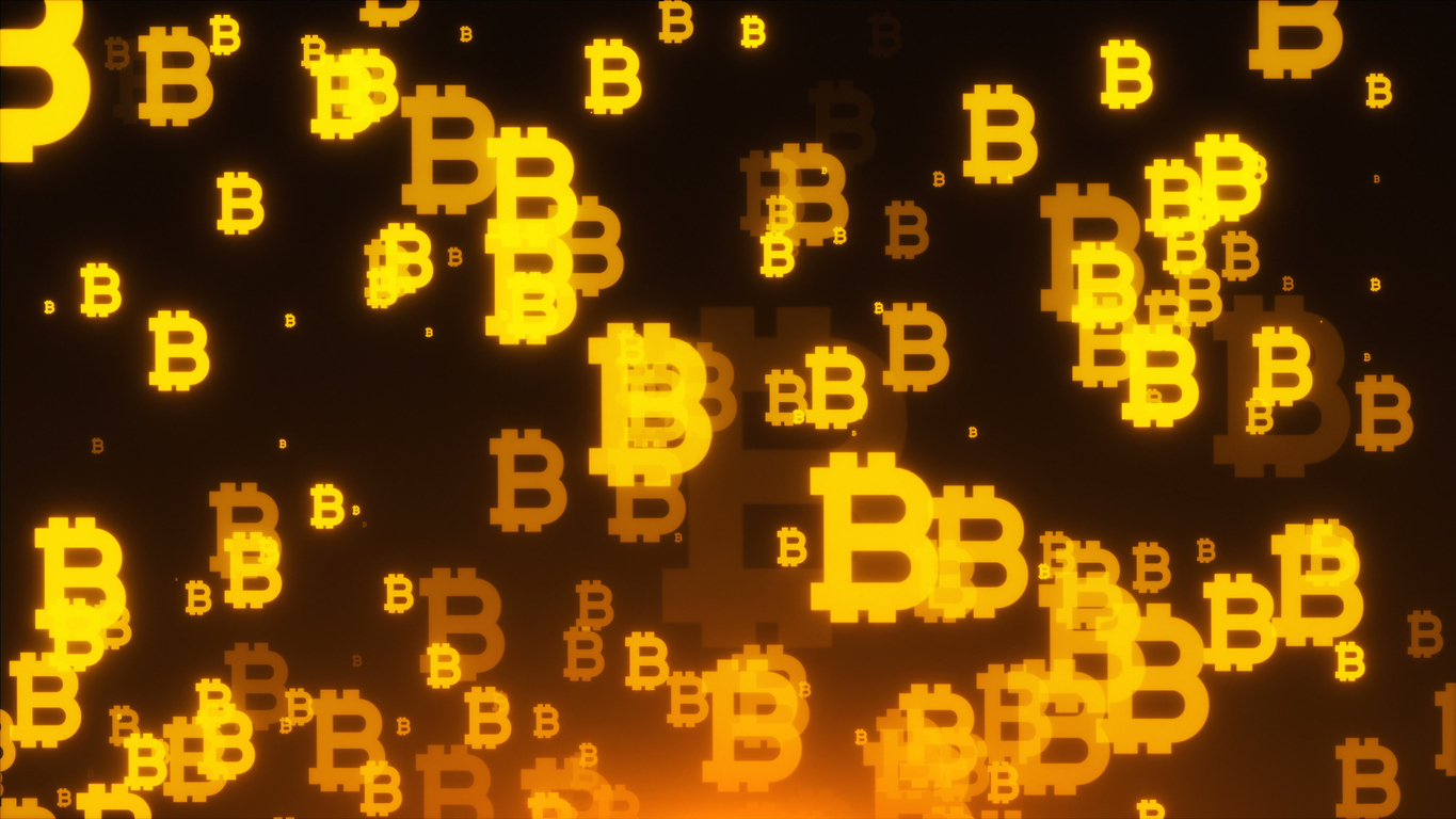 cryptomonnaies