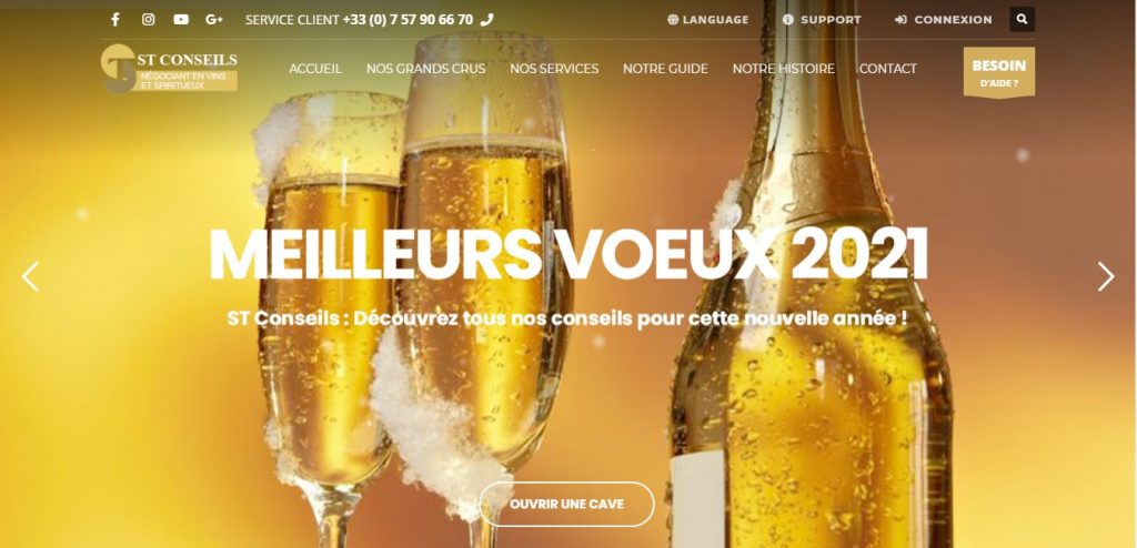 St-conseils.com : le site qui usurpe l’identité de St Conseils