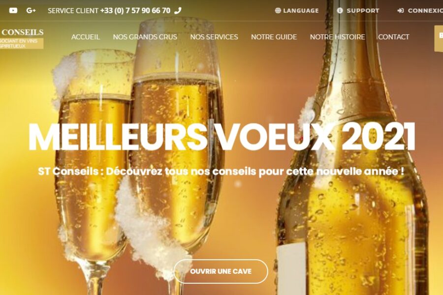 St-conseils.com : le site qui usurpe l’identité de St Conseils