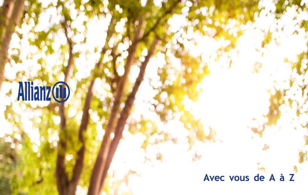 allianzinvestissement.com