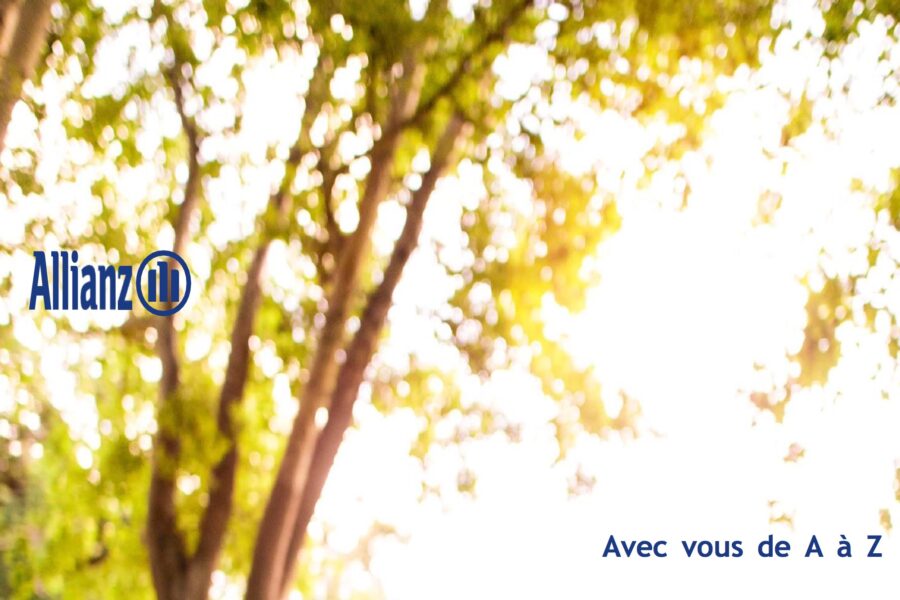 allianzinvestissement.com