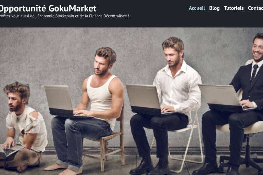 gokumarkets.com