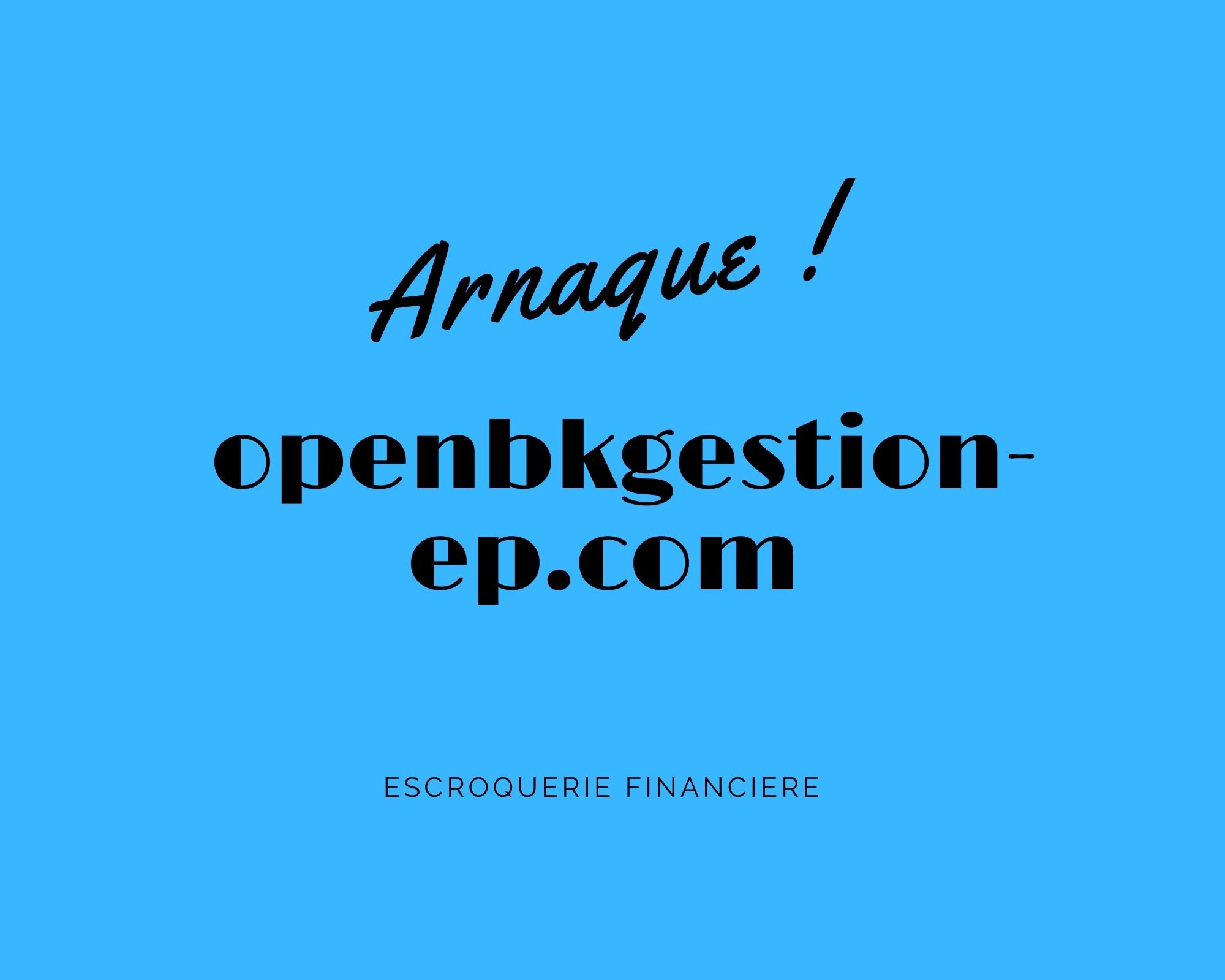 openbkgestion-ep.com
