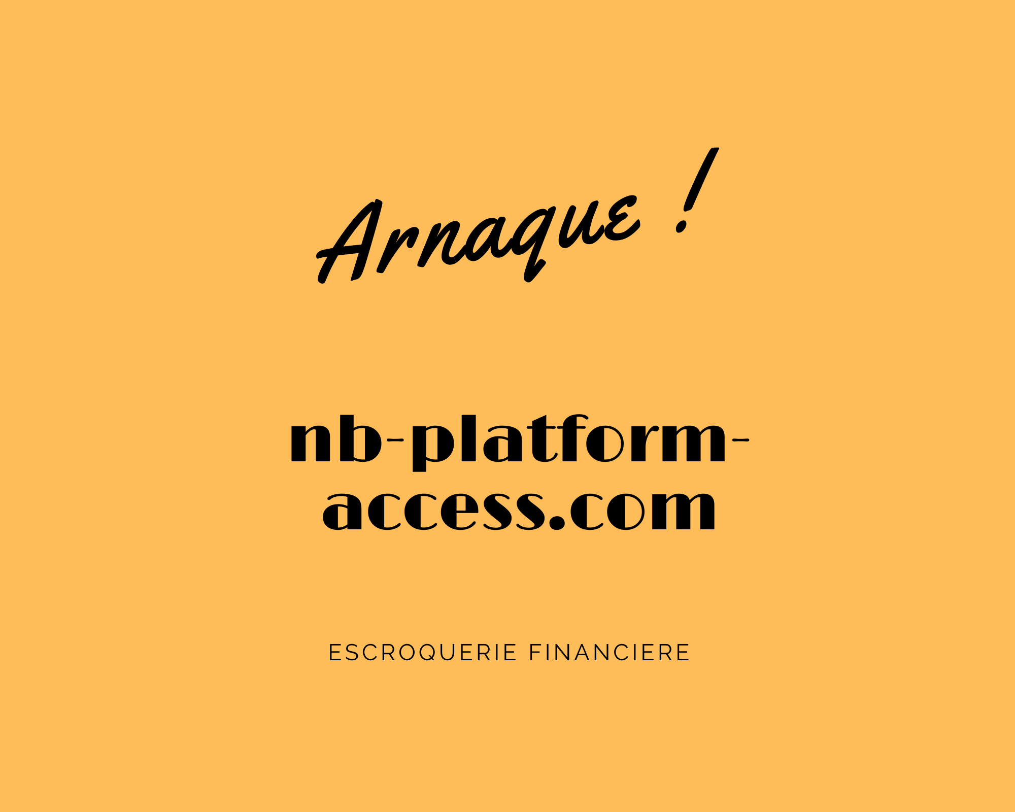 nb-platform-access.com