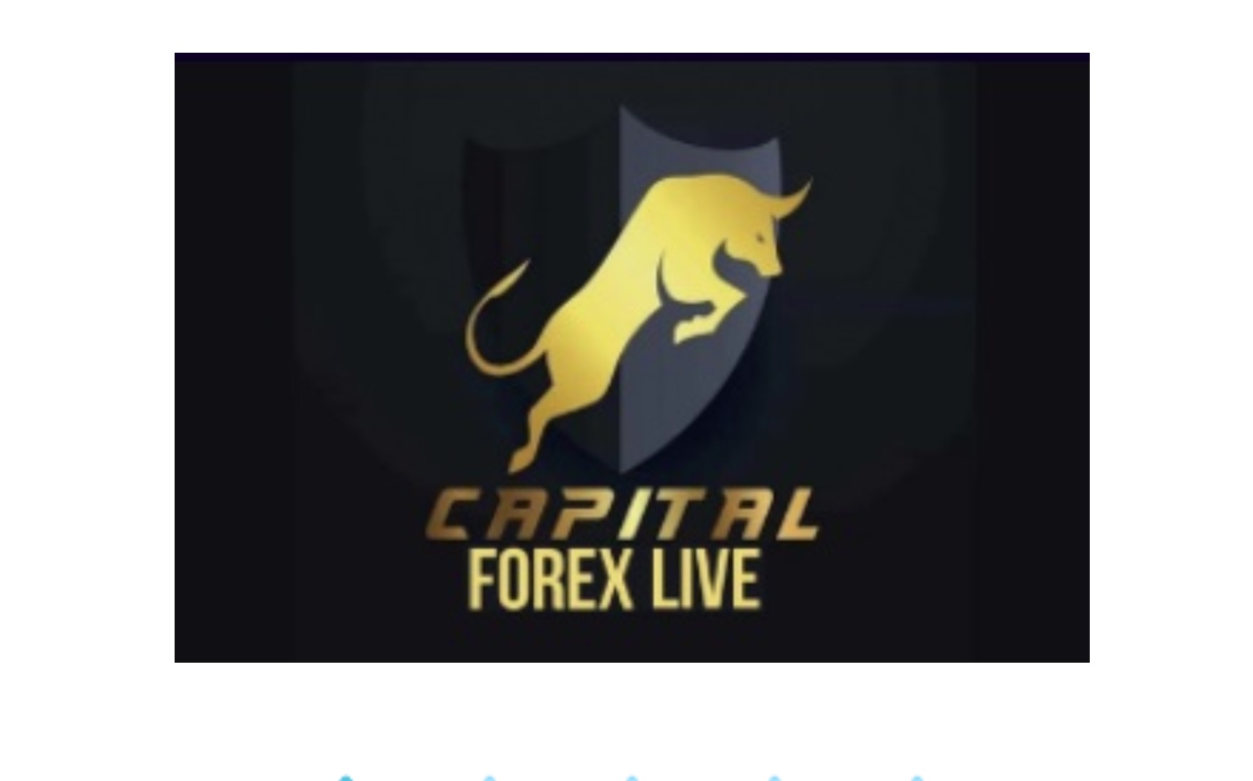 capitalforex.live