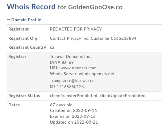 goldengooose.co