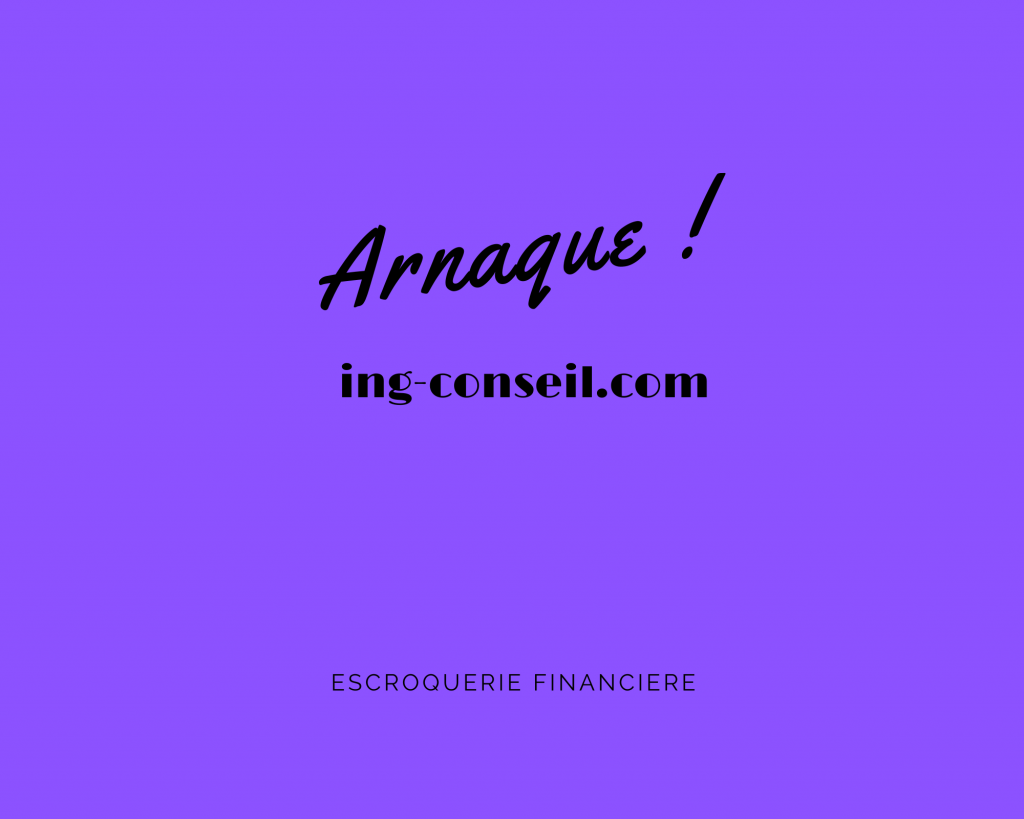 ing-conseil.com
