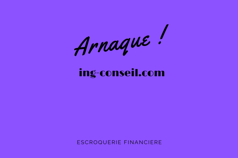 ing-conseil.com