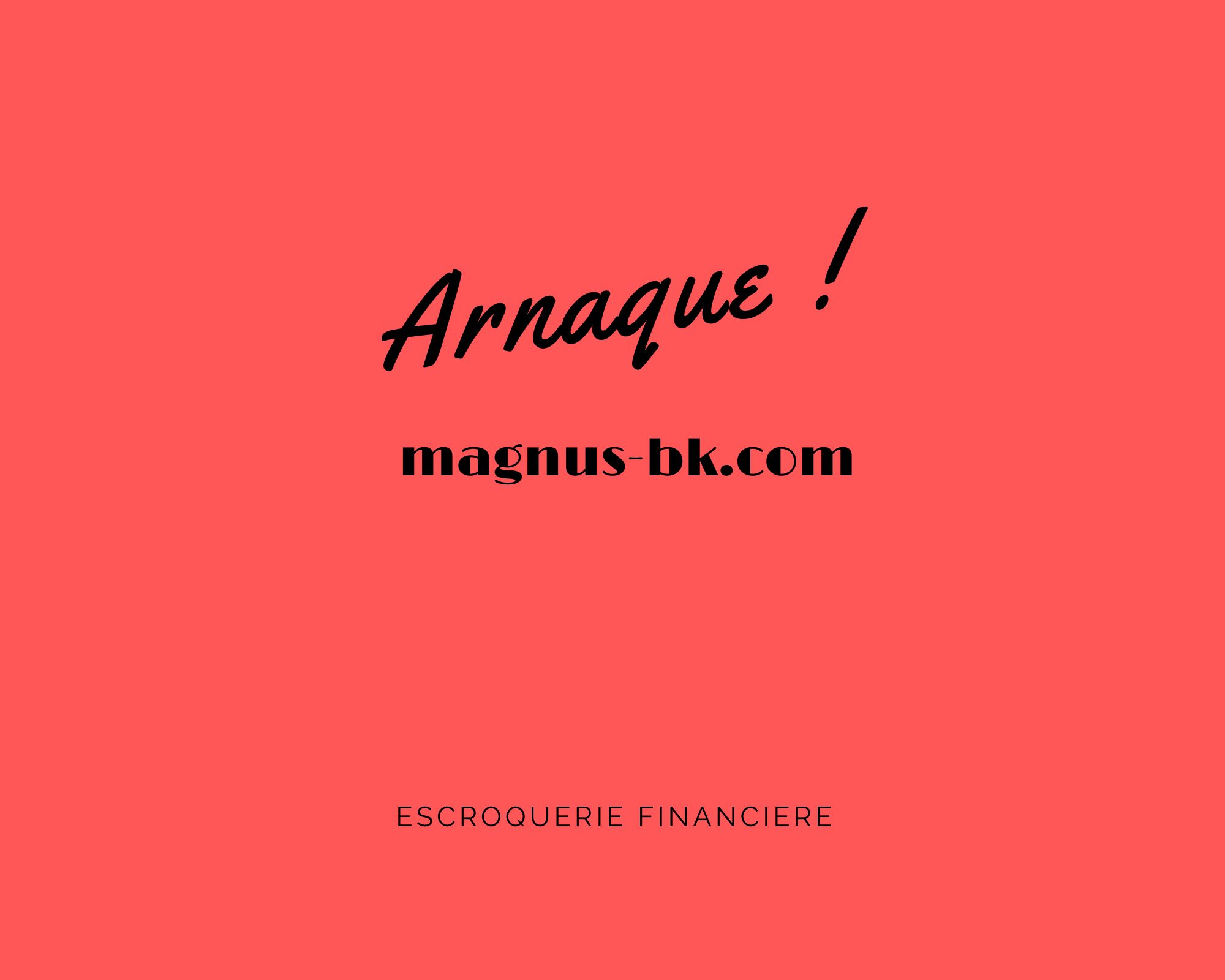 magnus-bk.com