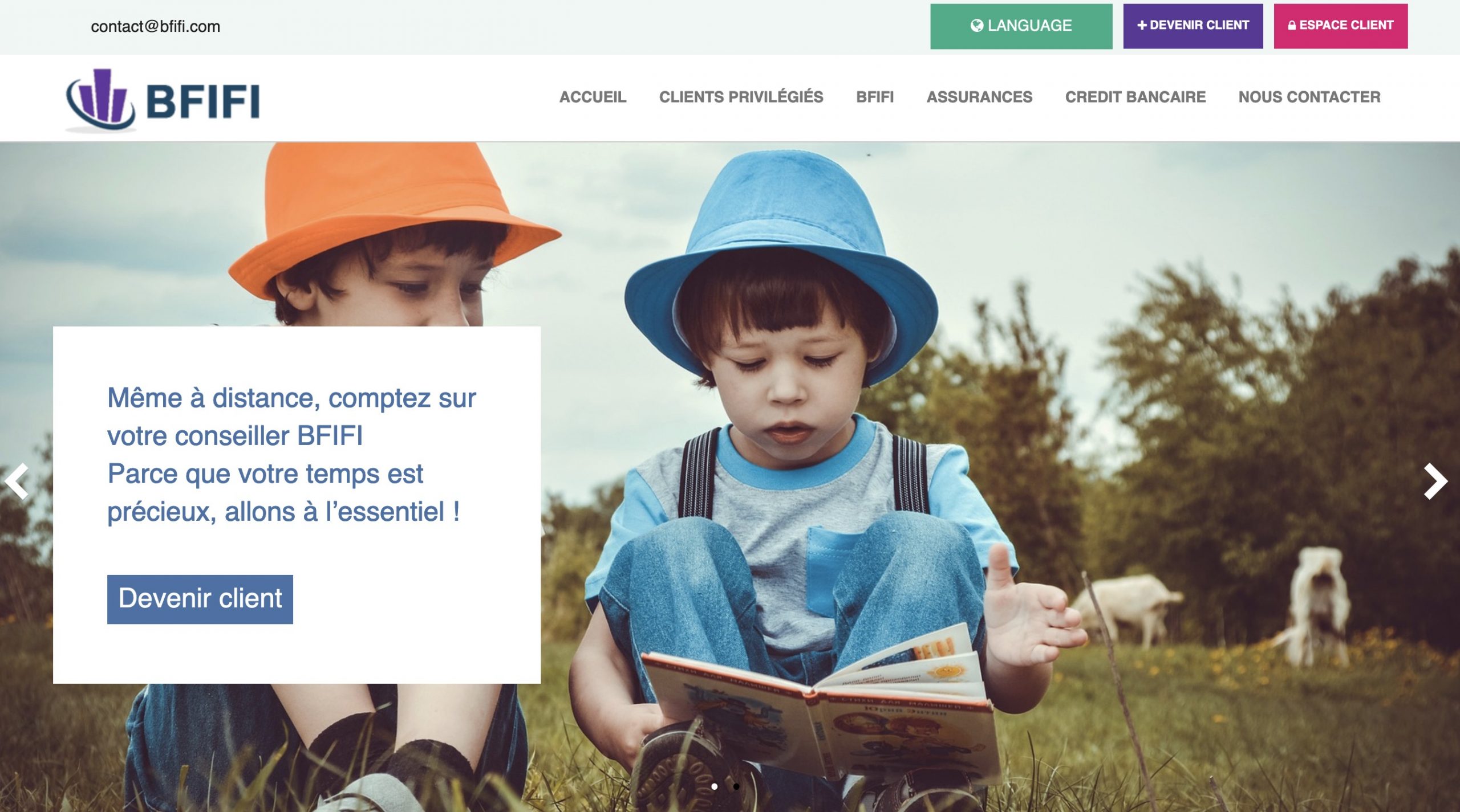 bfifi.com