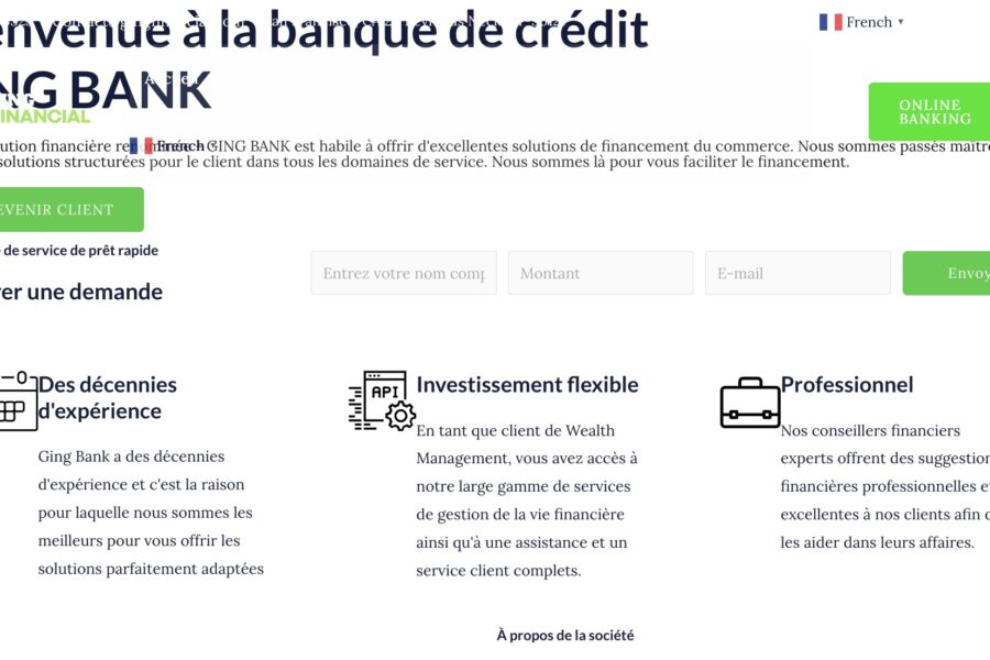 gingfinancial.com