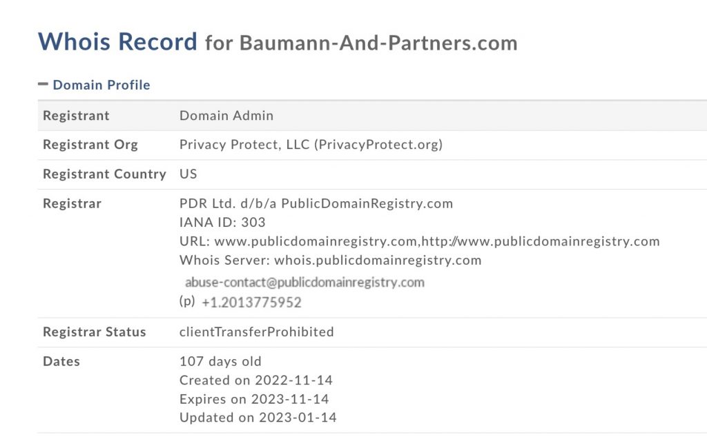 baumann-and-partners.com