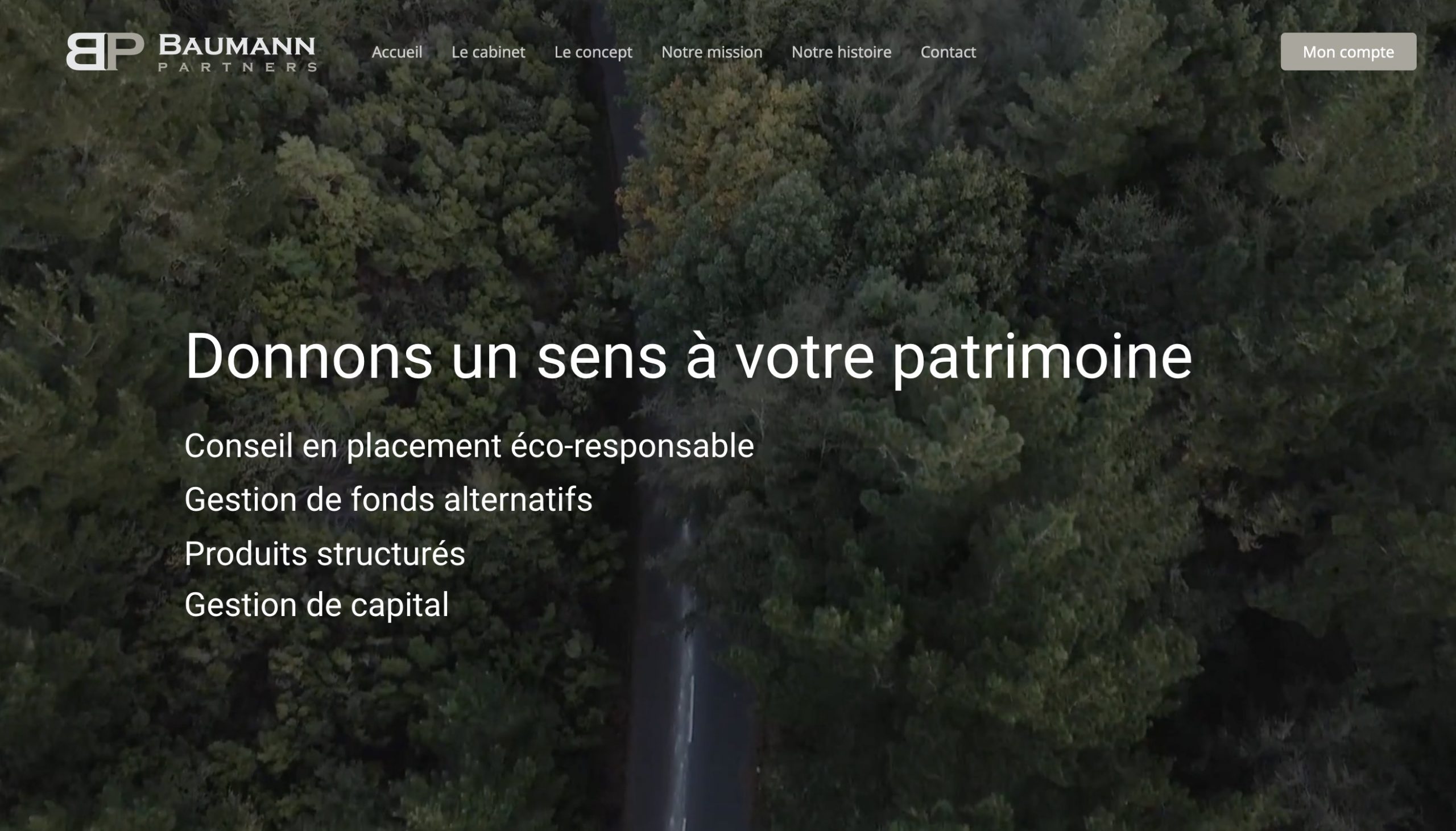 baumann-and-partners.com