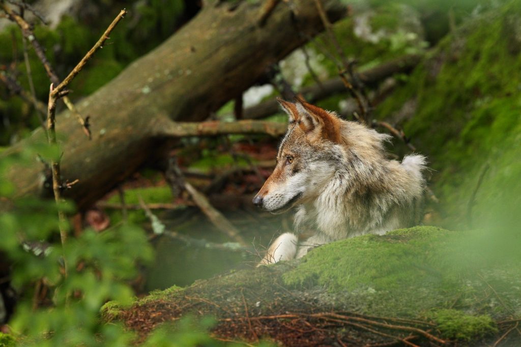 meilleurtaux-ptz.fr