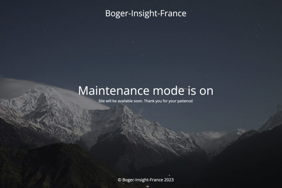 boger-insight-fr.com