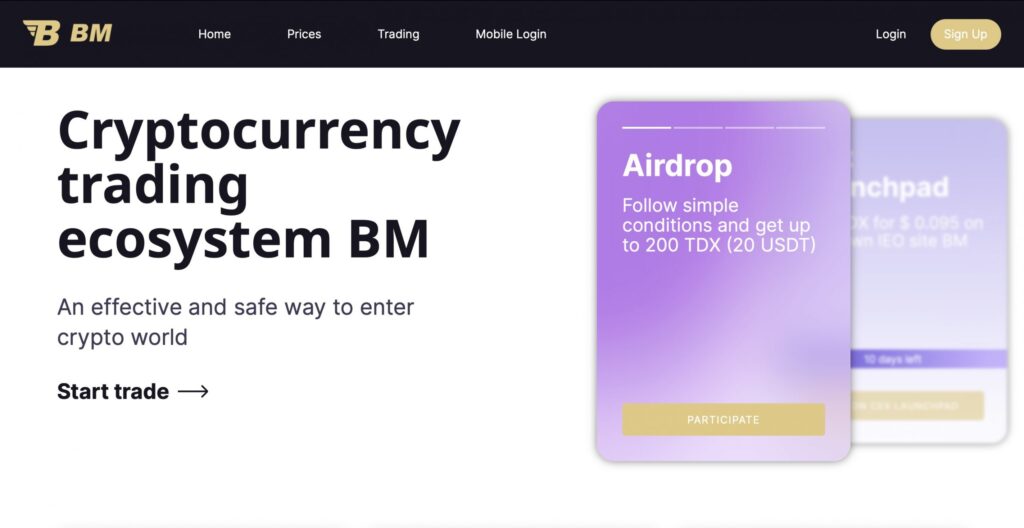 bm-in.com