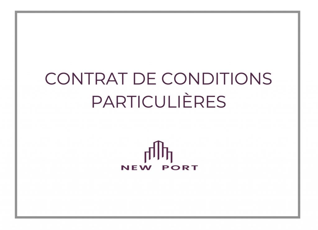 new-port2.com