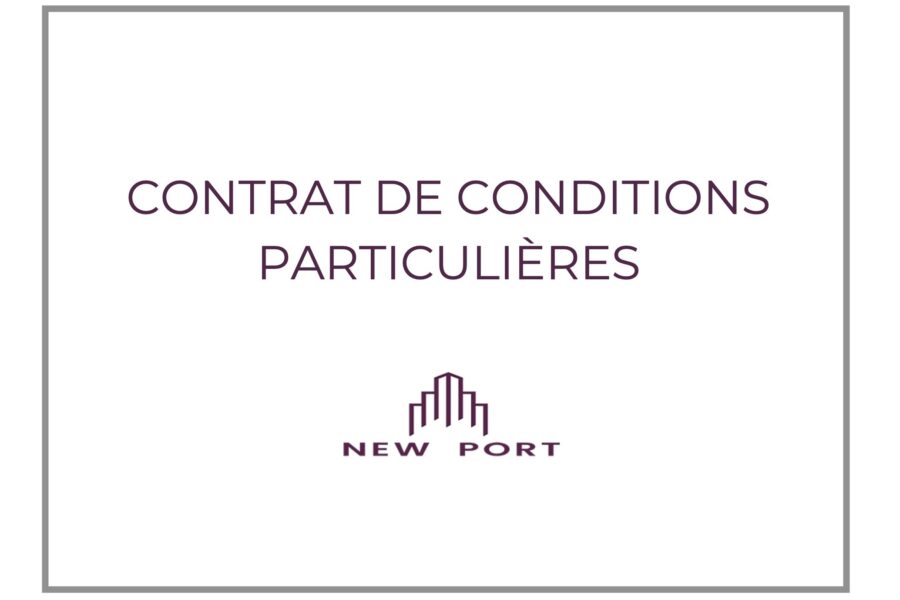 new-port2.com