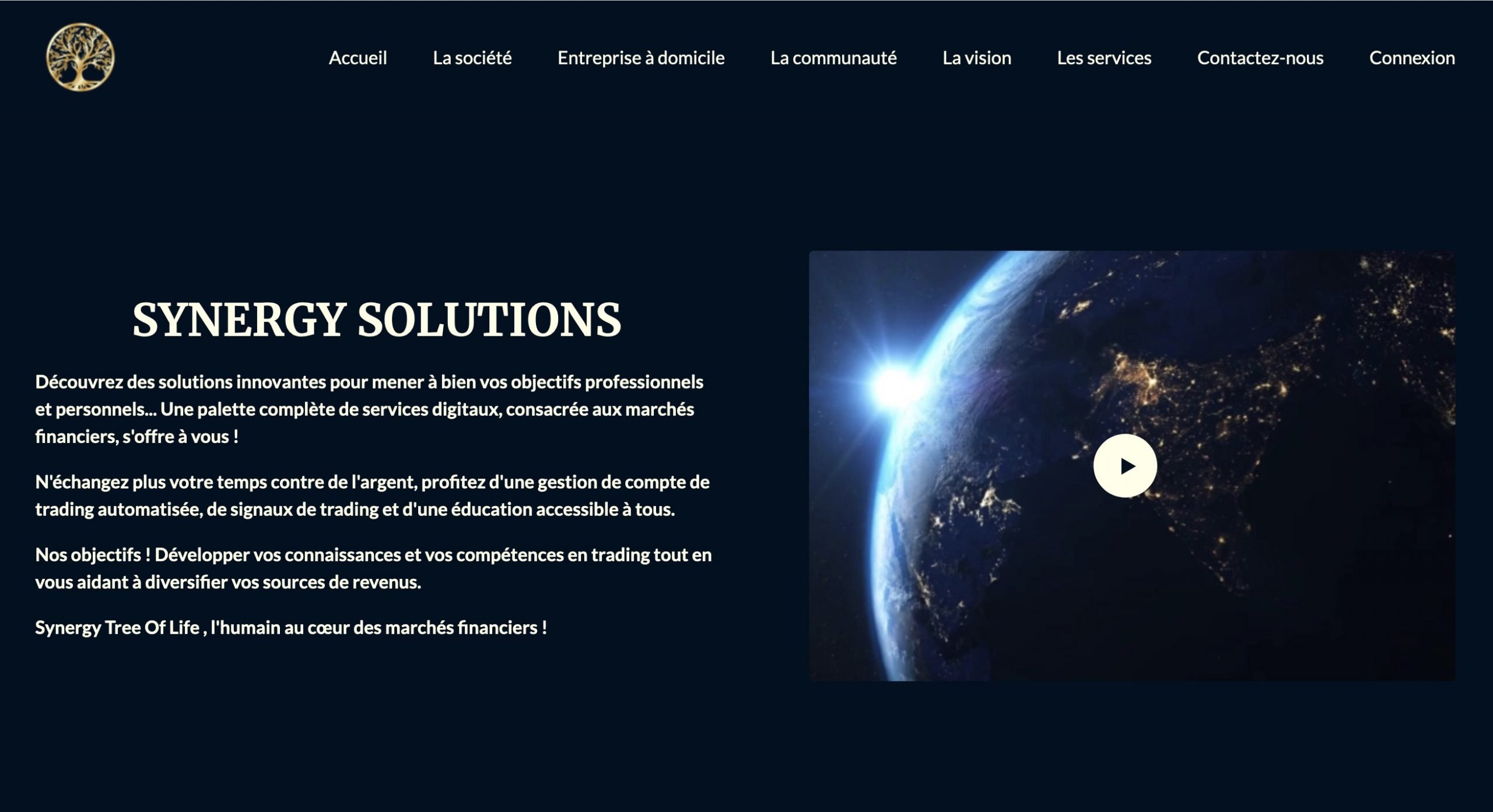 solutions-synergy.com
