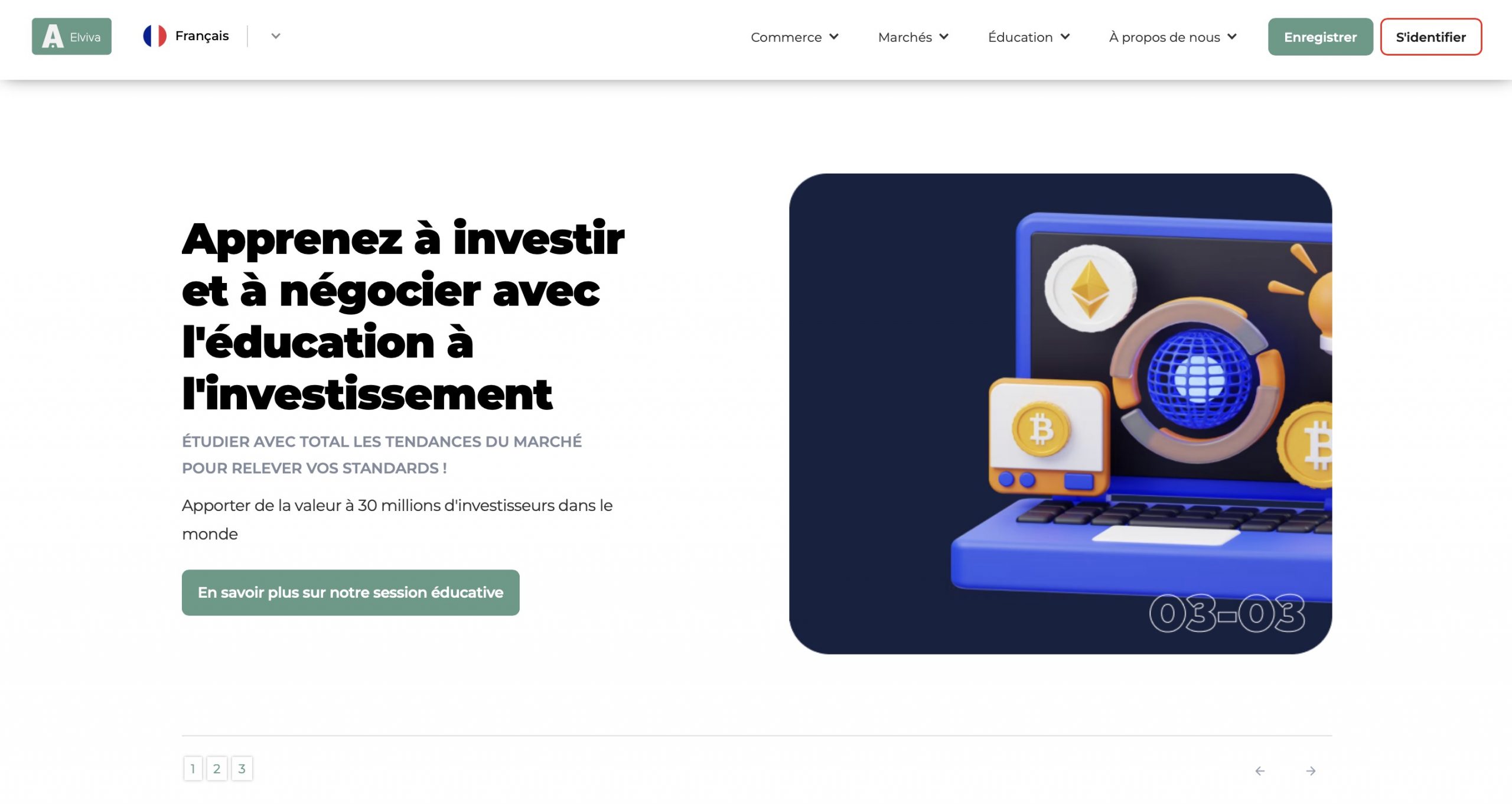 elvivainvest.com