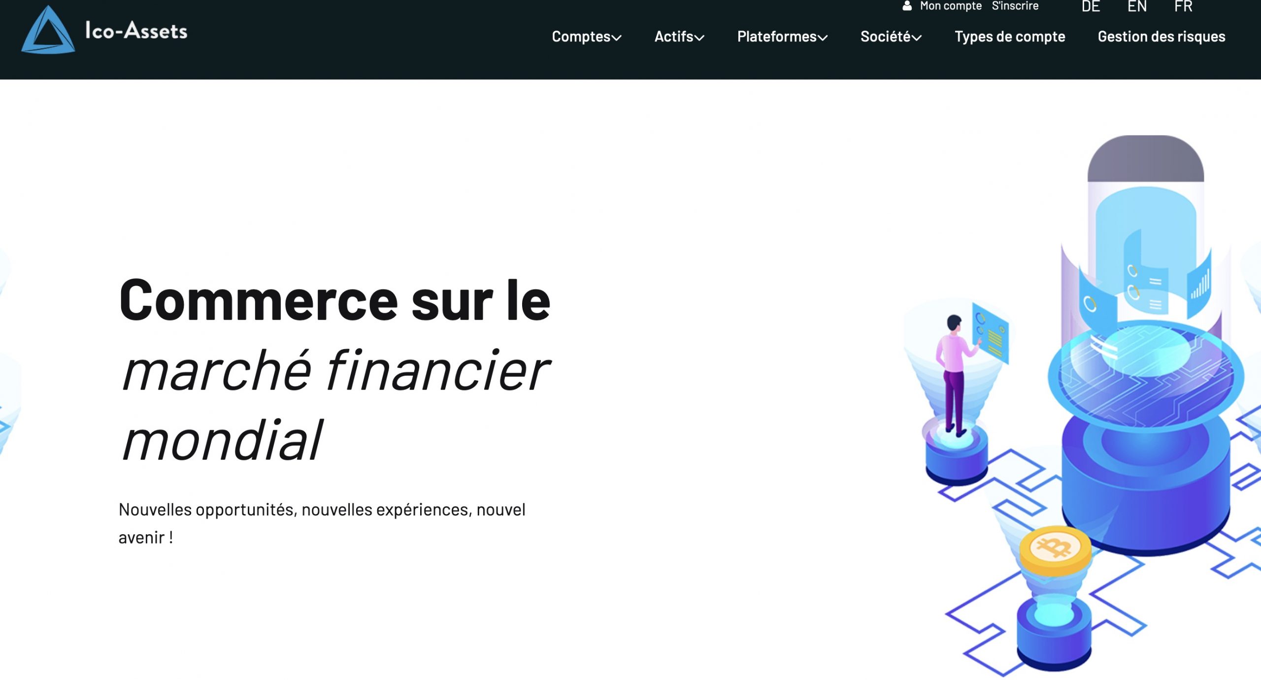 ico-assets.com