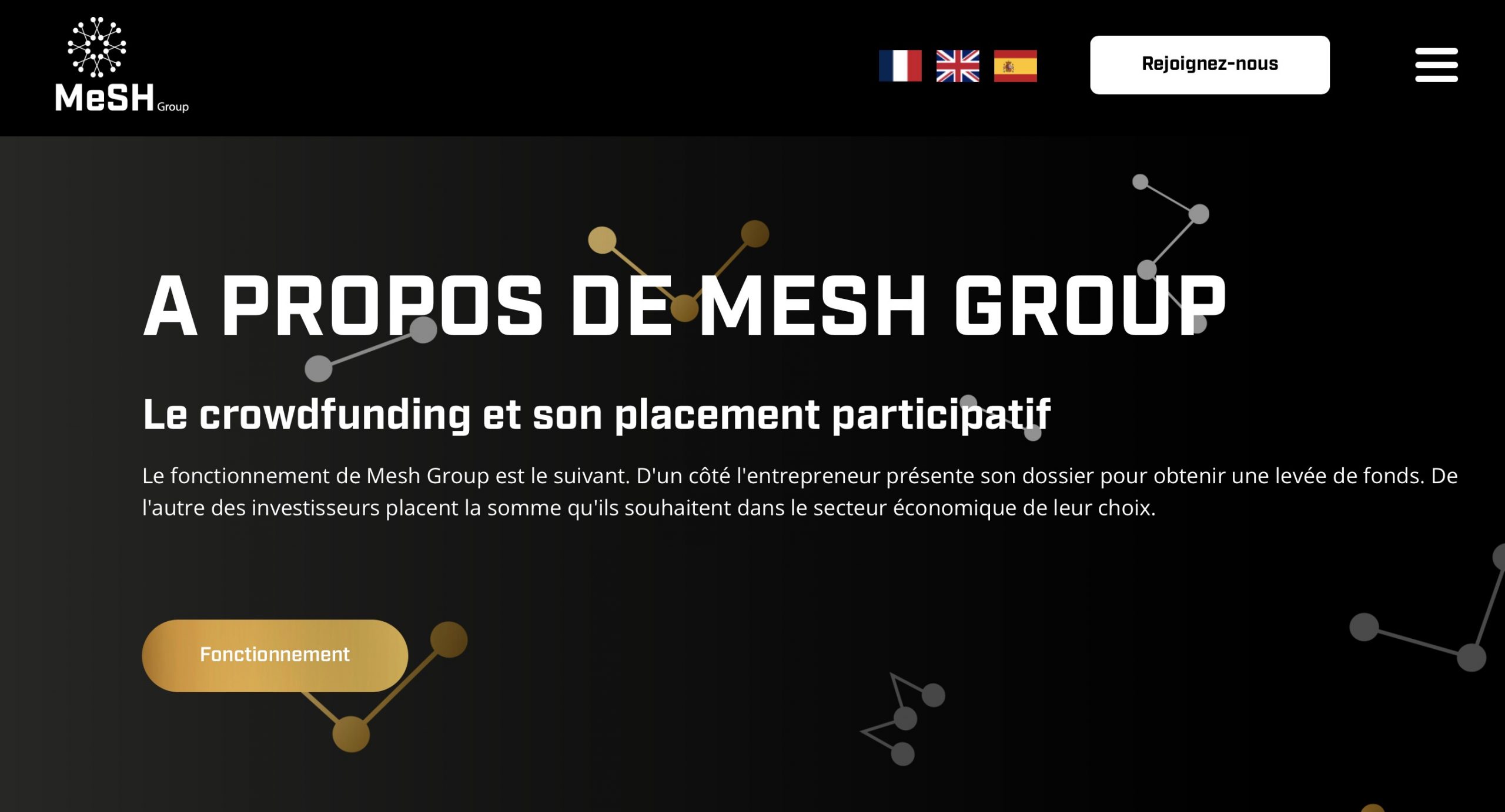 meshgroup.fr