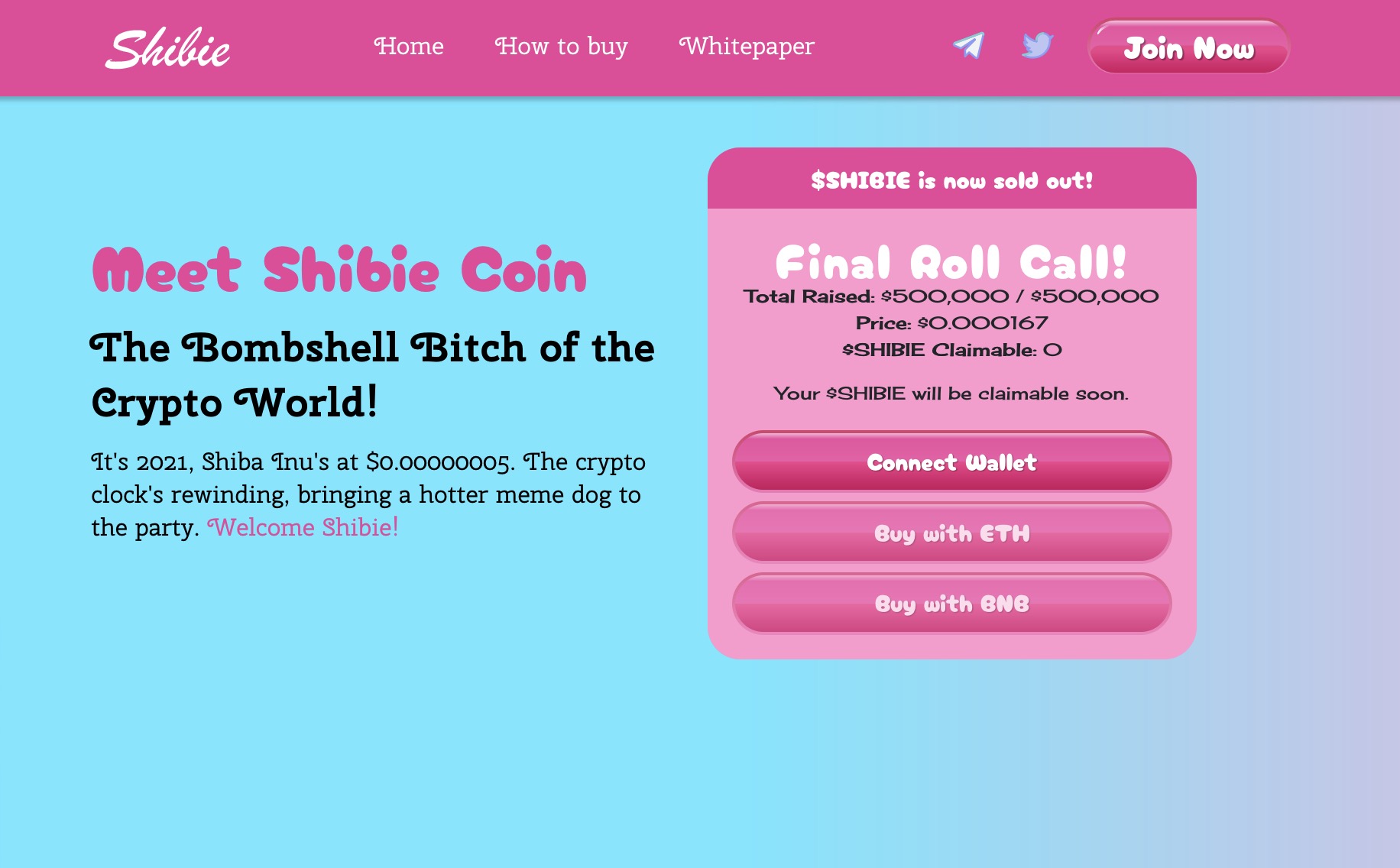 Avis sur shibie.io: impossible de savoir qui se cache derrière