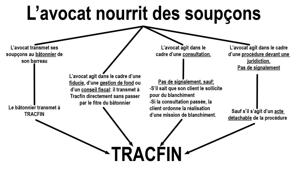 Récapitulatif des obligations de déclarations de soupçon des avocats.