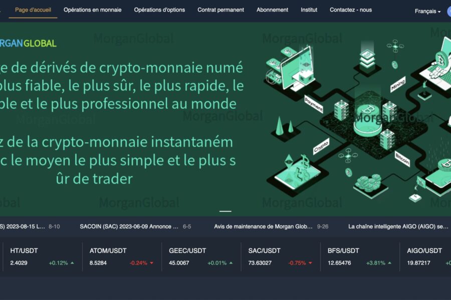 morganglobal-pro.com