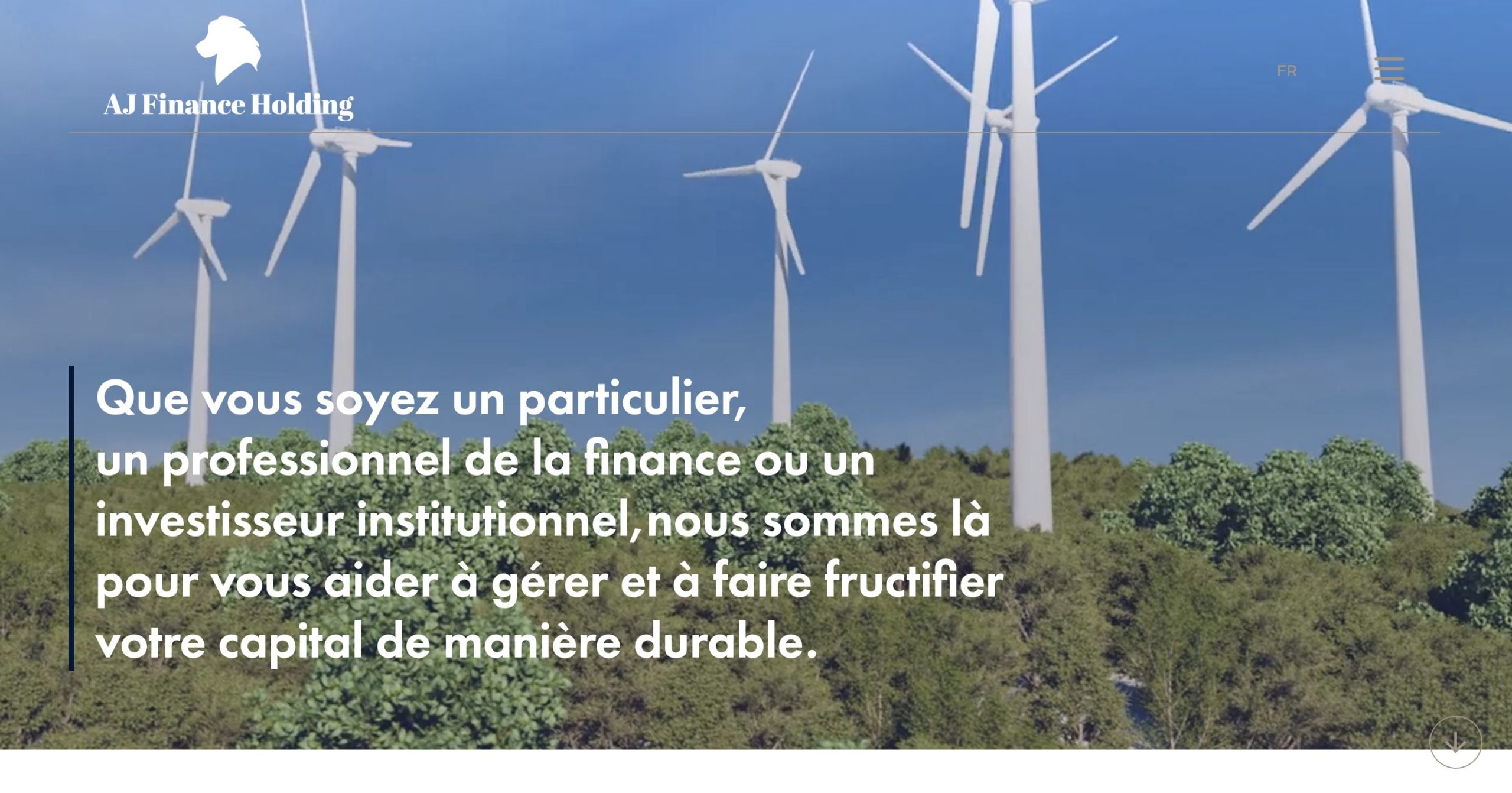 ajfinanceholding.com