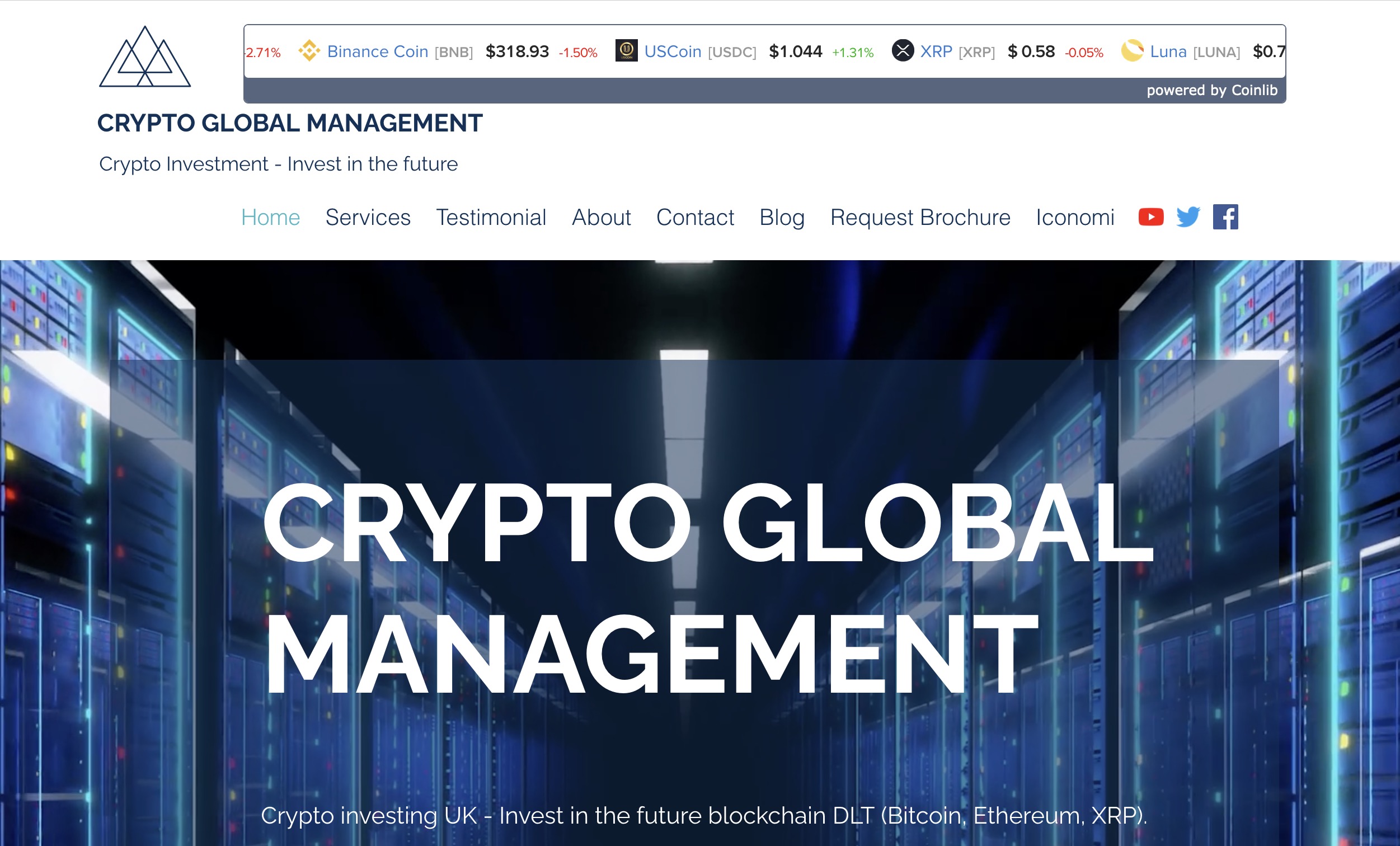 cryptoglobalmanagement.com