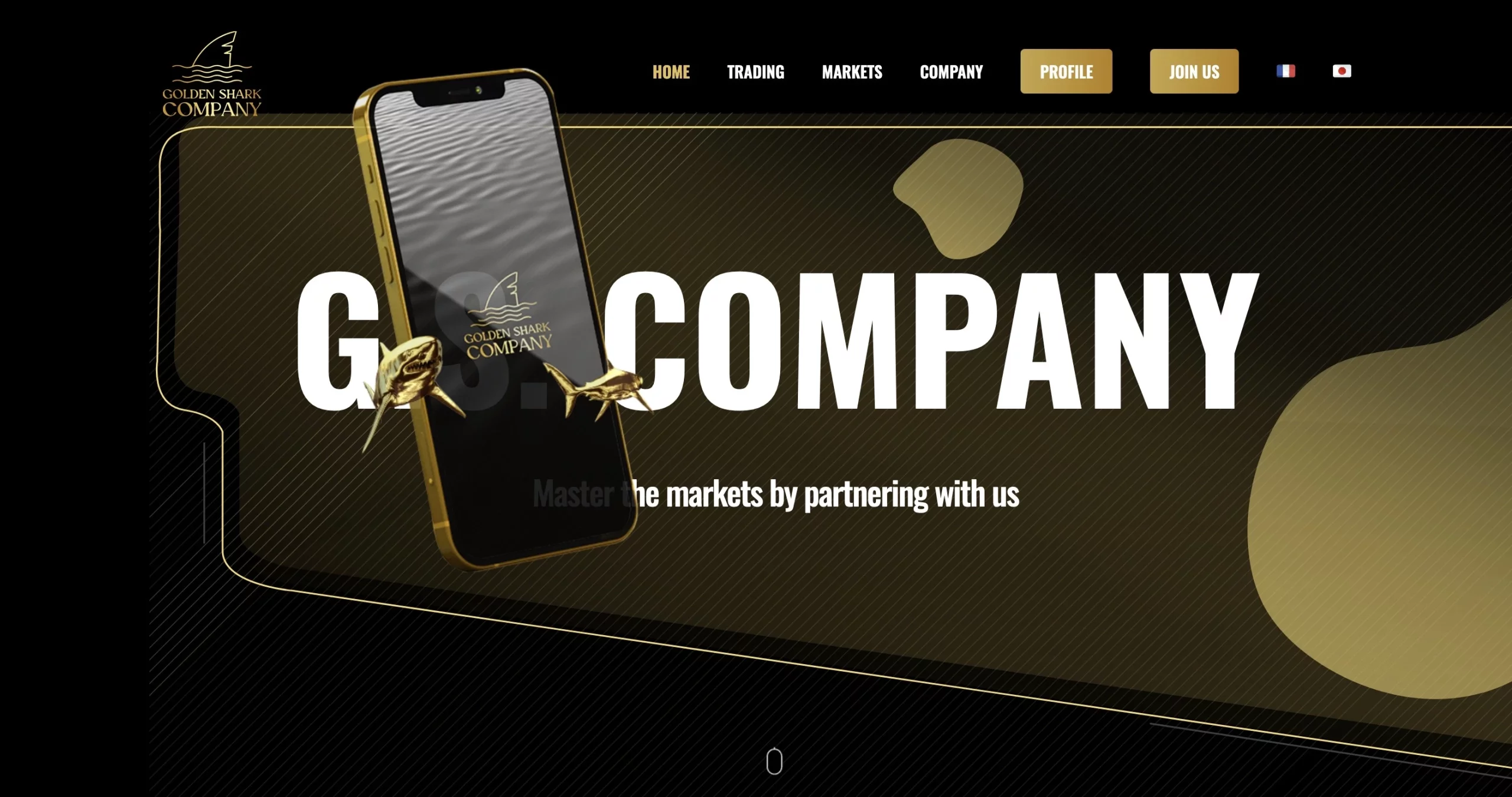 gs-company.pro