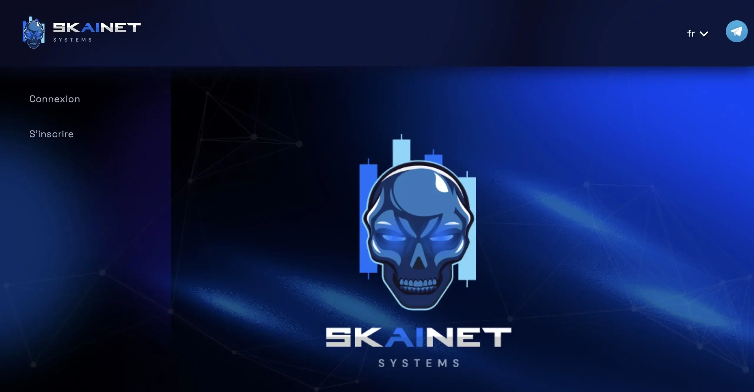 skainetsystems.com