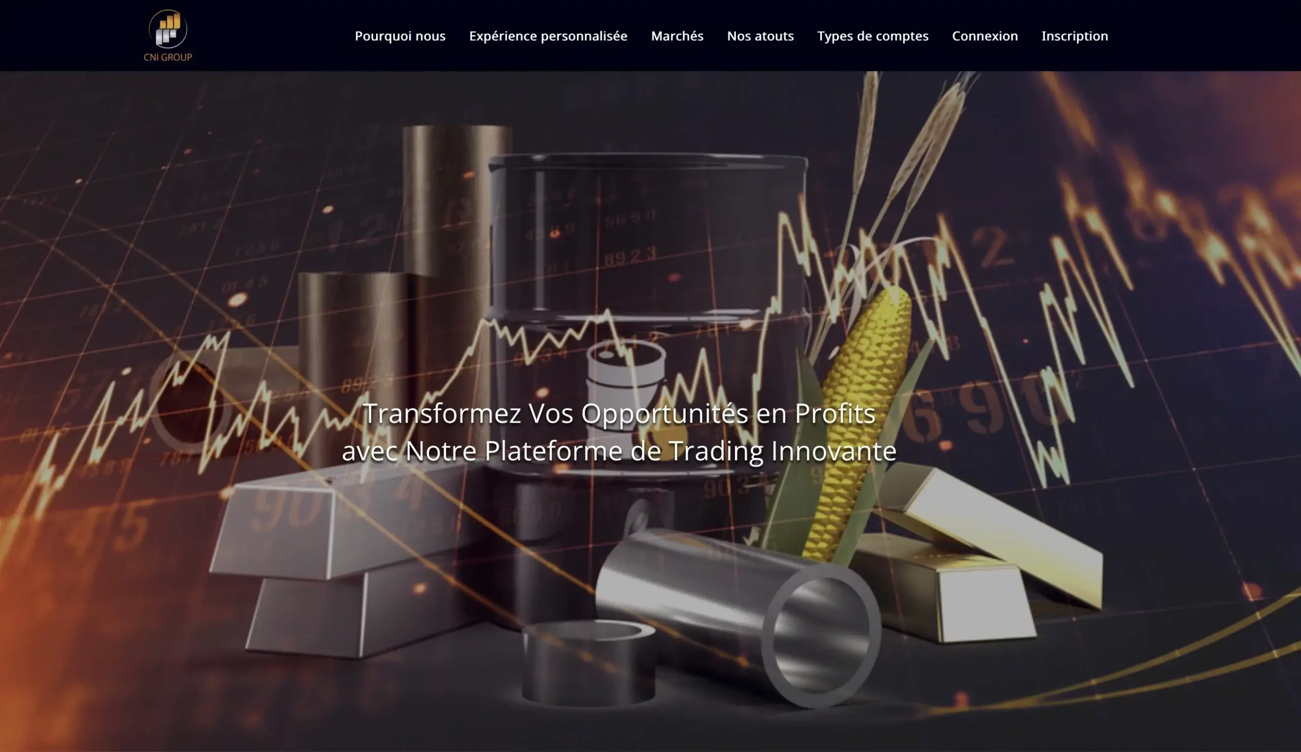 cni-group.net