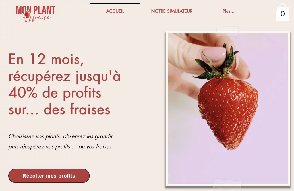 Mon plan fraise profits
