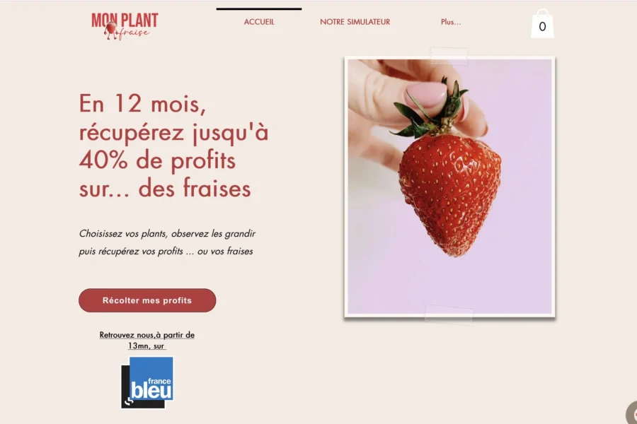 monplantfraise.fr