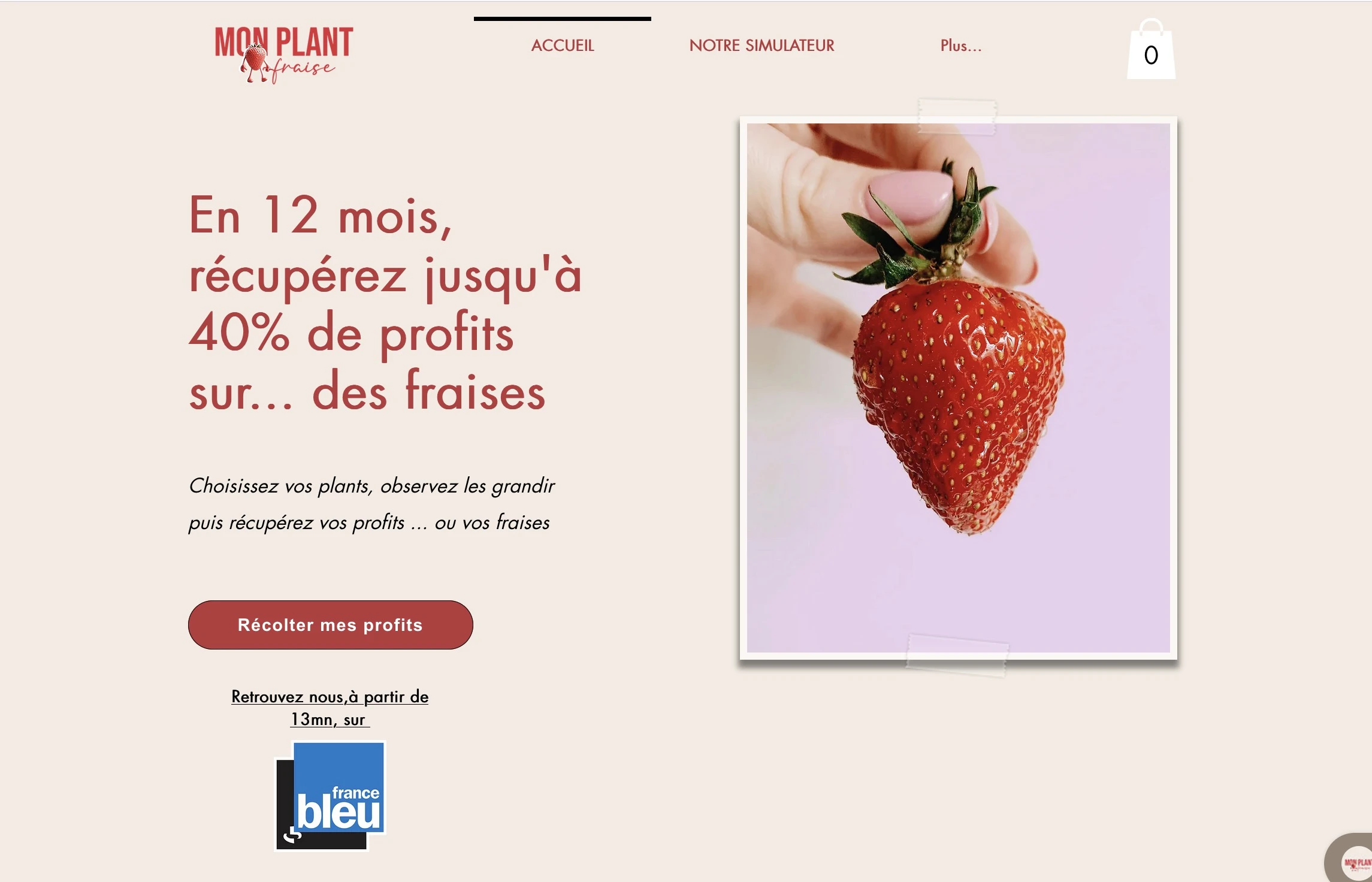 monplantfraise.fr