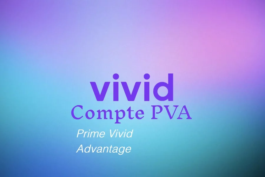 pva-brochure.com