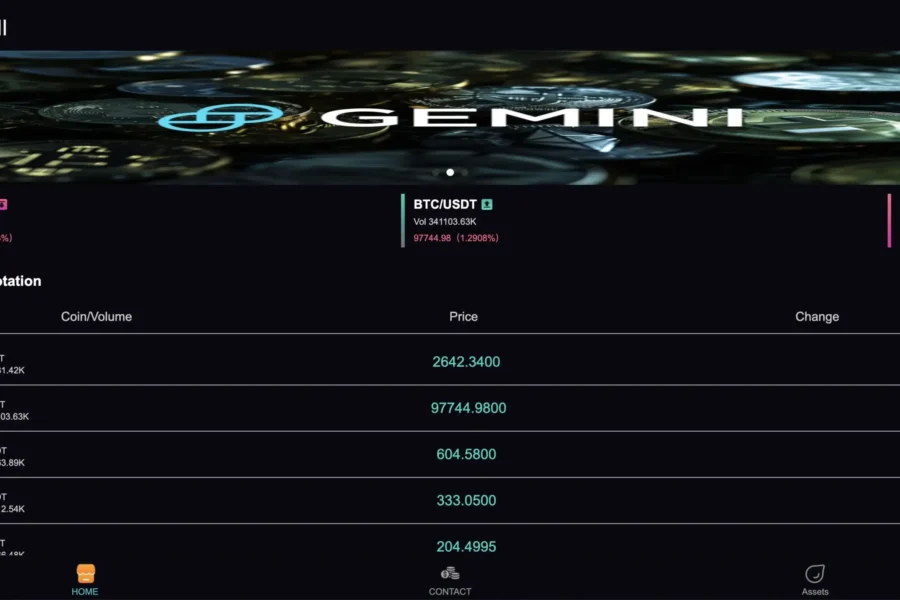 geminin-s.com
