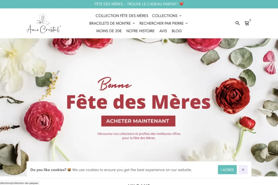 amecristal.com